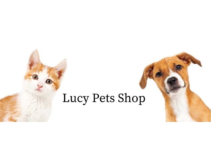 Pay in3 terms at Lucy pets