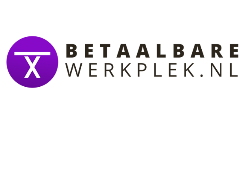Pay in3 terms at Betaalbarewerkplek.nl